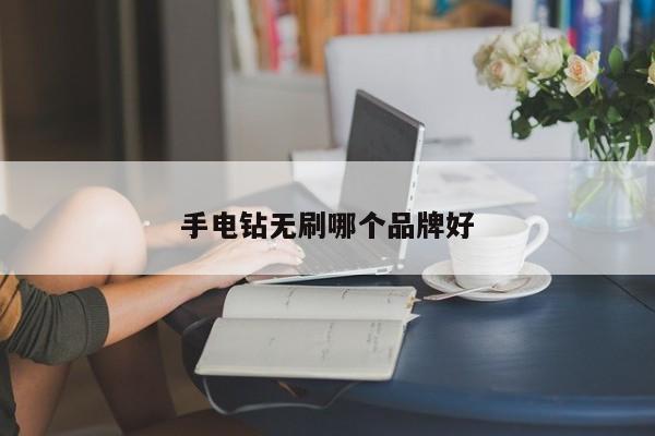 手电钻无刷哪个品牌好