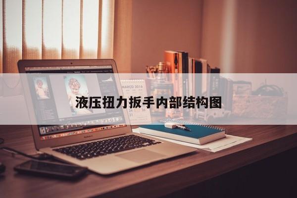 液压扭力扳手内部结构图